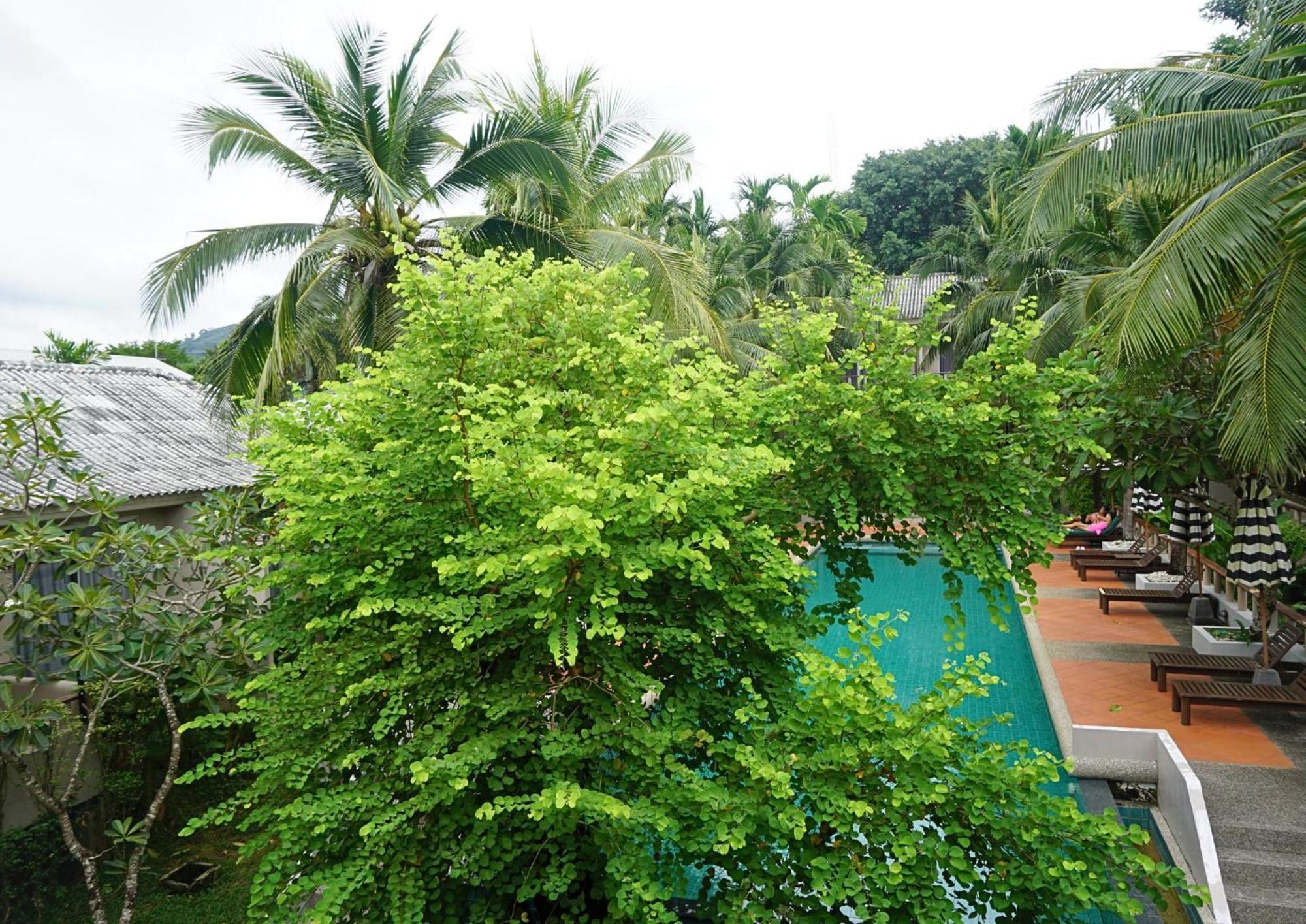 Signature Phuket Resort Chalong Exterior foto